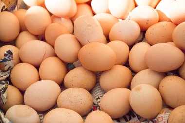 Organik taze çiftlik yumurtaları piyasada