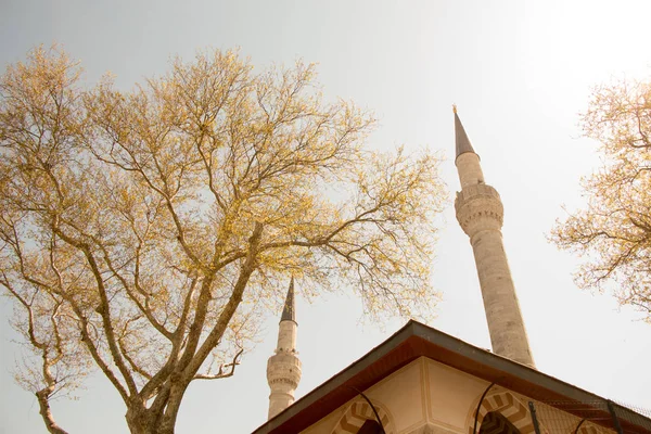 Az oszmán stílusú mecset minaret — Stock Fotó