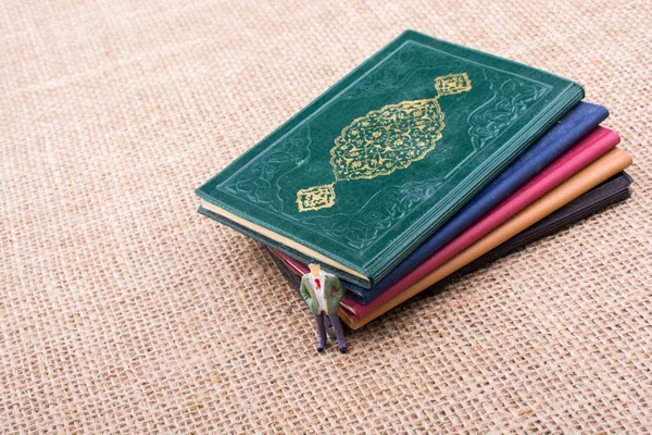 Adam heykelcik ayakta tuval üzerine küçük kitap yanında