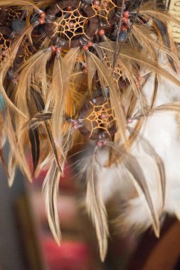 Yumuşak, güzel kuş tüyü ve deseni