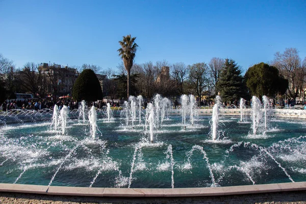 Çeşmeler parktaki bir havuzda köpüklü su fışkırtıyor.