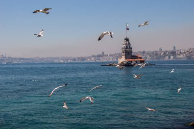 Martılar ve genç kızları Istanbul'da bulunan kule