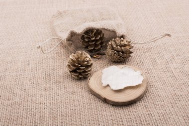 Çuvaldan çam kozalakları ve yanmış paperon tuval.