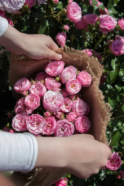 Eline tuval sarılmış güzel taze güller