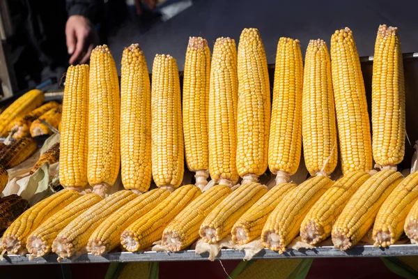 Mısır koçanı çekirdekler üzerinde soyulmuş