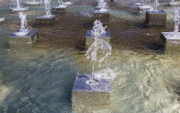 Çeşmeler parktaki bir havuzda köpüklü su fışkırtıyor.