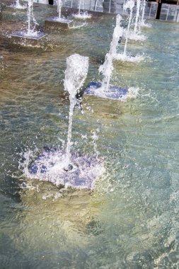 Çeşmeler parktaki bir havuzda köpüklü su fışkırtıyor.
