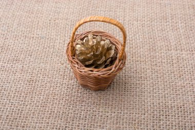 Çam kozalağı bir tuval arka planda küçük bir sepet içinde