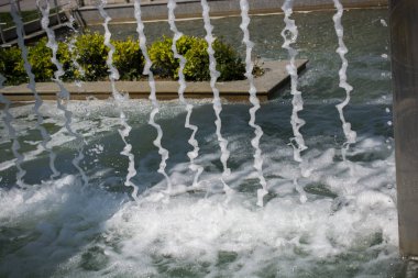 Çeşmeler parktaki bir havuzda köpüklü su fışkırtıyor.