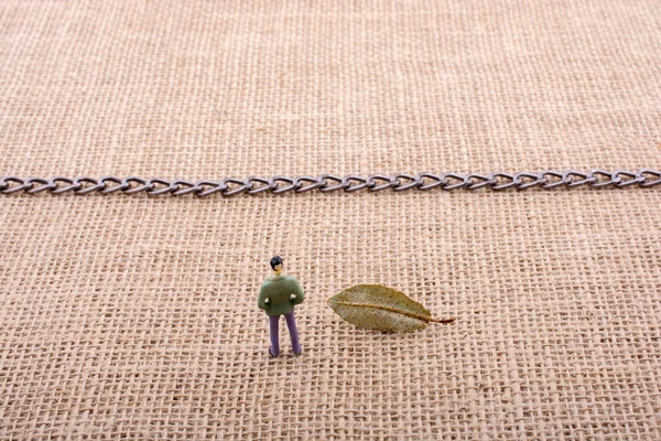 Erkek heykelciğiyle kuru yeşil yaprak