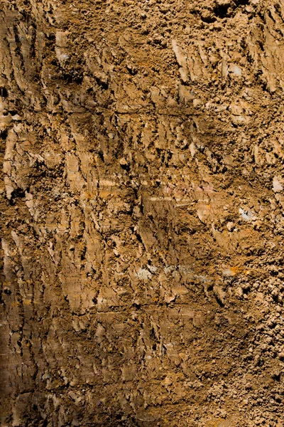 Soil Surface Background Texture — Stock Photo, Image