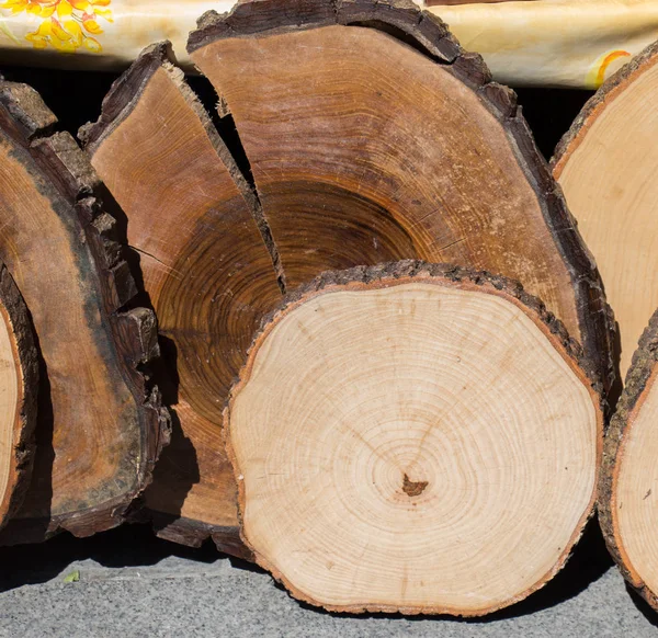 small piece of cut wood logs used for  wood texture background