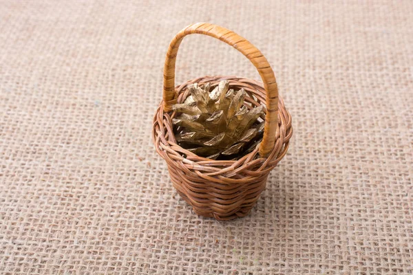 Pine Cone Tiny Basket Canvas Background — Stock Photo, Image