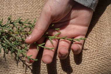 Eline bir defter sayfası bırakır