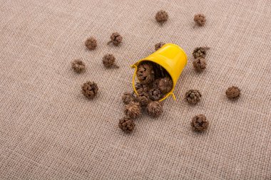 Kahverengi pod, kapsül ve tuval üzerine mini Kepçe çevresinde