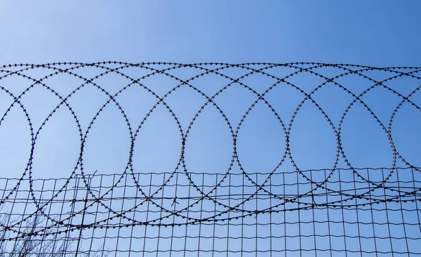 20,800+ Wire Fence Stock Photos, Pictures & Royalty-Free Images - iStock