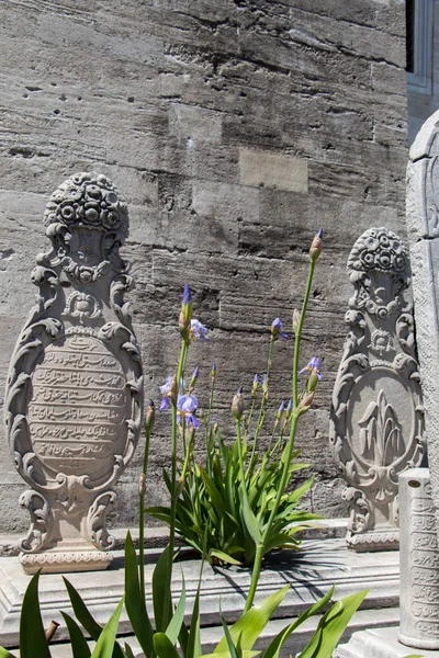 İstanbul 'daki mezarlarda Osmanlı zamanından kalma eski taşlar