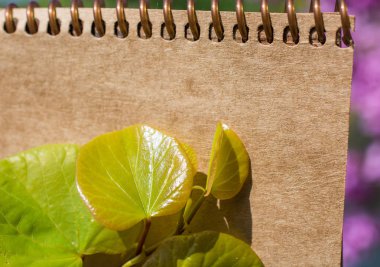 Eline bir defter sayfası bırakır