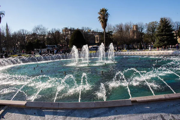 Çeşmeler parktaki bir havuzda köpüklü su fışkırtıyor.