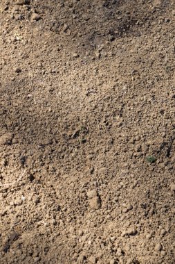 Arkaplan dokusu olarak toprak yüzeyi