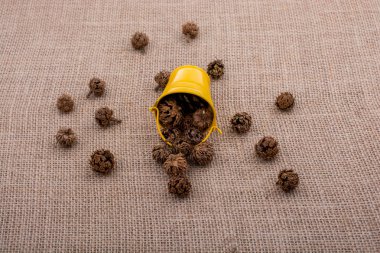 Kahverengi pod, kapsül ve tuval üzerine mini Kepçe çevresinde