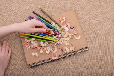 Bir defter kalem talaş ile üzerinde renkli kalemler tutan el