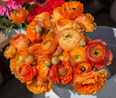 Arka plan olarak çiçek açan çiçekler