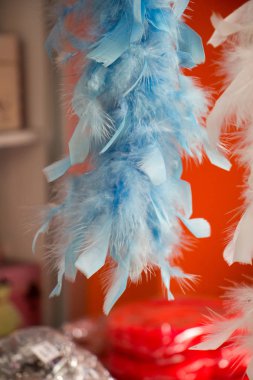  Yumuşak, güzel kuş tüyü ve deseni