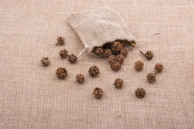 Bitki kapsülleri, çuvaldan çıkan kapsüller.