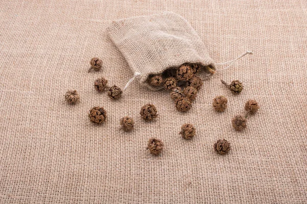 Bitki kapsülleri, çuvaldan çıkan kapsüller.