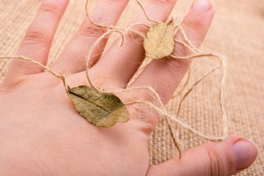 Kuru yaprak yeşil el tutulur