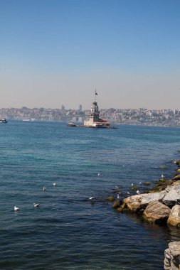 Martılar ve genç kızları Istanbul'da bulunan kule