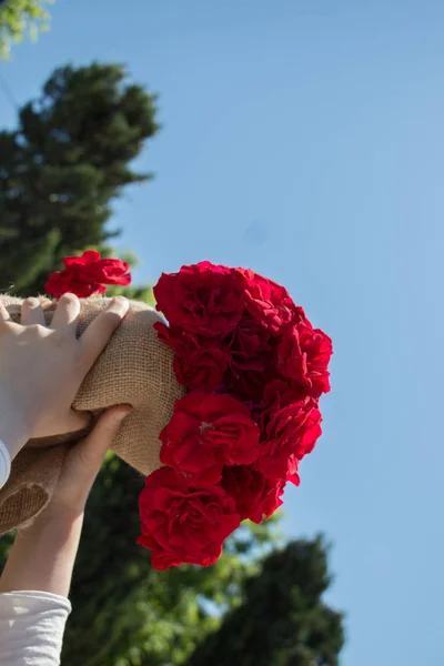 Beautiful Fresh Roses Wrapped Canvas Hand — Stock Photo, Image