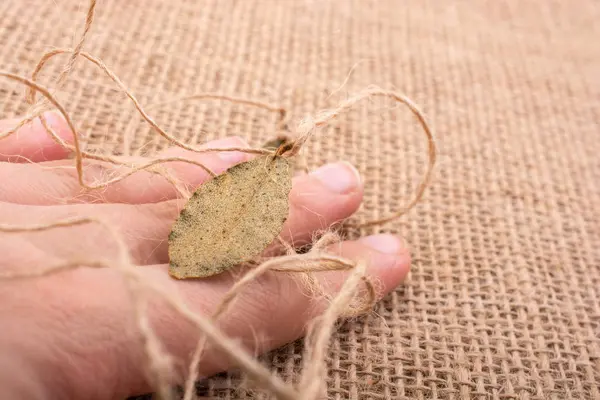 Üzerinde kuru yaprak yeşil el düzenlenen