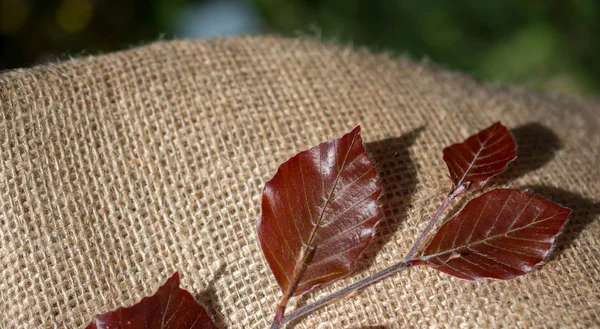 Keten brandaya yerleştirilmiş yeşil yapraklar