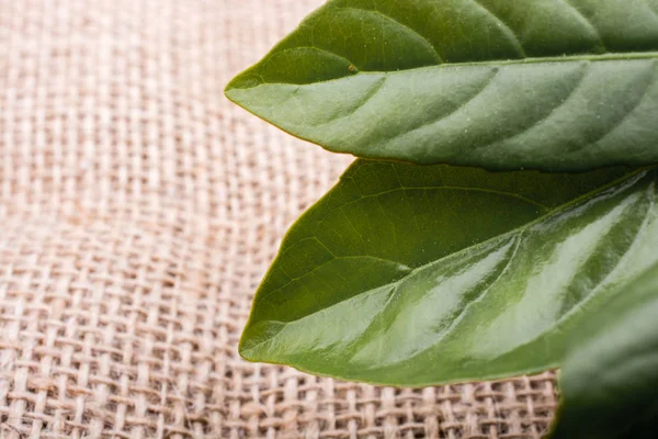 Keten brandaya yerleştirilmiş yeşil yapraklar