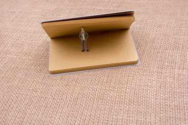 Heykelcik ayakta tuval üzerine bir defter