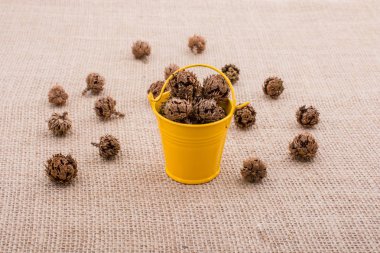 Kahverengi pod, kapsül ve tuval üzerine mini Kepçe çevresinde