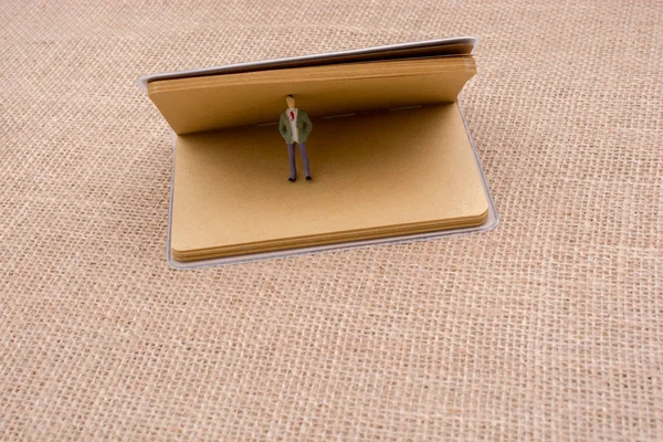 Heykelcik ayakta tuval üzerine bir defter