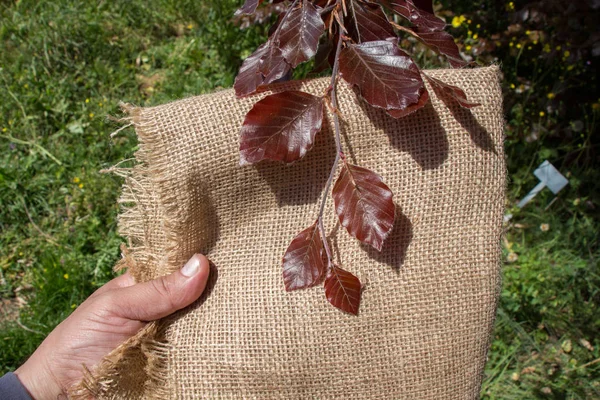 Yeşil elinde tuval üzerine bırakır.