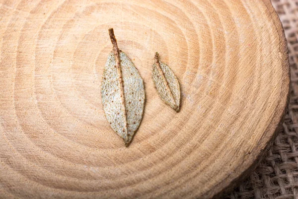 Kuru yeşil yaprakları bir odun parçası