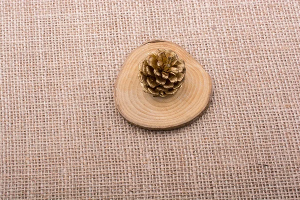 Cono de pino sobre un trozo de madera cortada — Foto de Stock