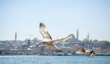 Martılar Camii arka planı olan bir gökyüzünde