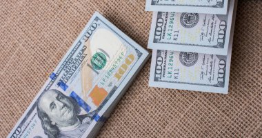 Bize Doları banknot tuval üzerine