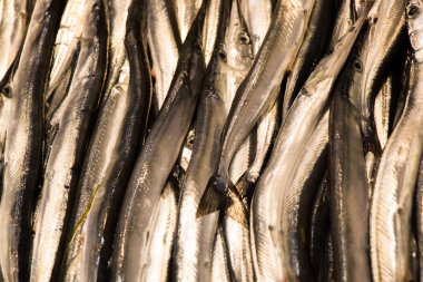 Taze balık pazarında Satılık