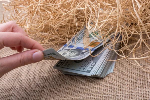 Banknote bundle of US dollar in a straw pile