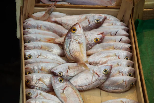 Świeże na sprzedaż rynku ryb — Zdjęcie stockowe
