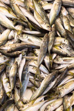 Taze balık pazarında Satılık