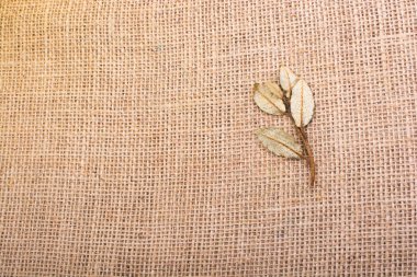 Keten tuval üzerine yeşil yaprakları kuru