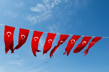 Türk ulusal bayrak görünümünde